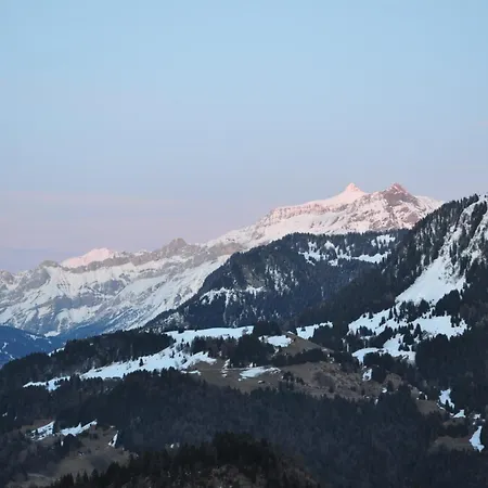 Hotel Central Residence Leysin