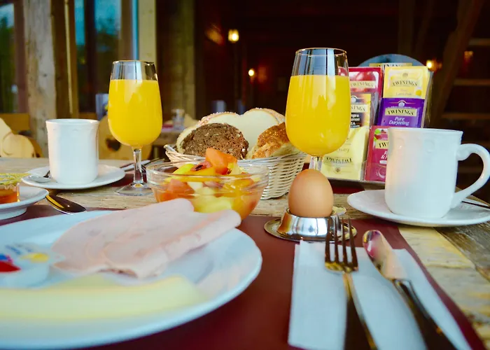 Hotel Central Residence Hotel Leysin